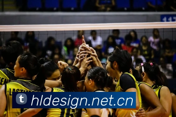 球盟体育官方网站平台生态图